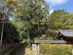 -西芳寺(苔寺)
