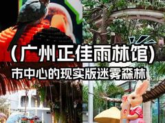 -正佳雨林生态植物园