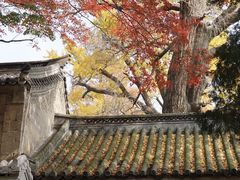 -青岛崂山太清宫