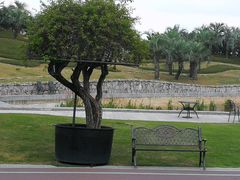 -南通洲际绿博园