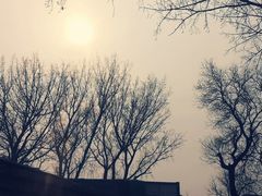 -春风习习