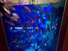 -成都浩海立方海洋公园