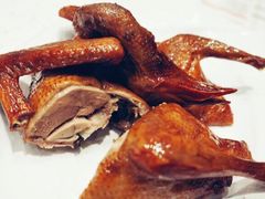 红烧乳鸽-新世界餐厅(万达店)