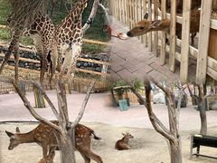 -水上乐园·欢乐世界