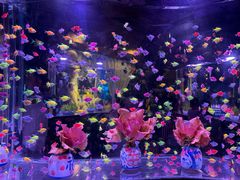 -南昌融创海世界