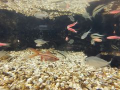 -福州罗源湾海洋世界旅游区