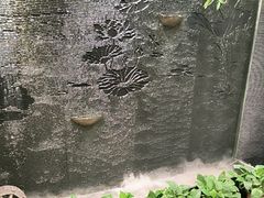 -秦月轩·长安小馆·新陕菜(阜成路·五棵松店)