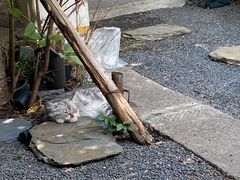 -南枝小馆(银鱼巷店)