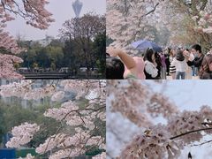 -红星桥(地铁站)