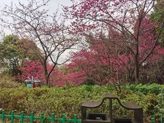 -乌山风景区