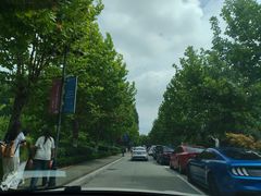 -山东外贸职业学院