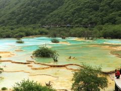 -黄龙山原始森林景区