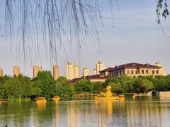 -青枫公园