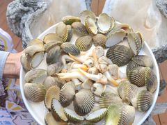 -蓝湾碧波·老字号·疍家非遗海上餐厅