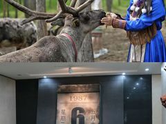 -北极村旅游风景区