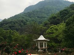-广州市石门国家森林公园