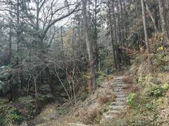 -素山寺森林公园