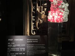 -深圳珠宝博物馆