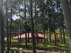 -仁和公园(顺义区)