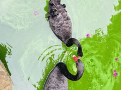 -昆明动物园