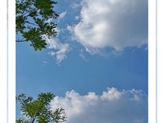 -天津金海湖