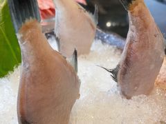 耗儿鱼-王家渡火锅店(亦庄店)