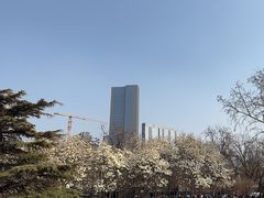 -睦南公园