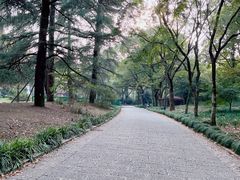 -杭州植物园