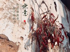 -杨家堂村