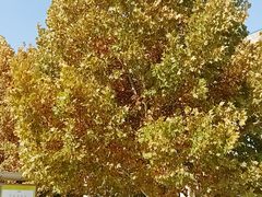 -北京华联合肥长江西路购物中心