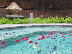 -广州都喜泰丽温泉度假酒店