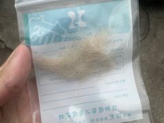 -喜洋洋宠物医院(震川路总店)