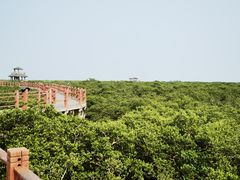 -北海金海湾红树林生态旅游区