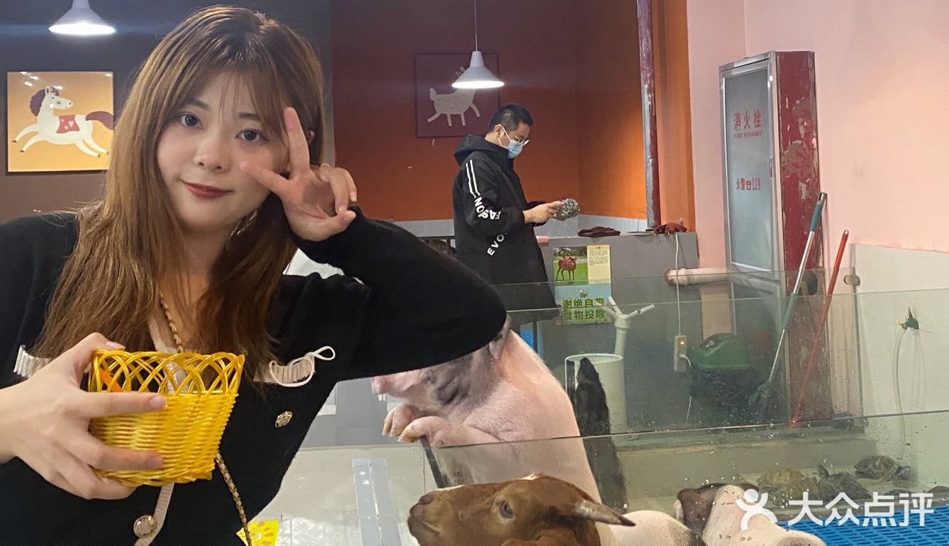 杭州探店｜打卡宝藏撸宠乐园！