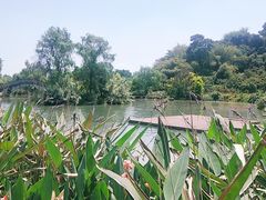 -张坝桂圆林公园
