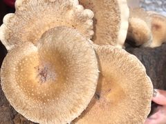 -谭鸭血老火锅(漳州路店)