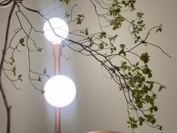 点击看大图 -LB·海菲秀牛奶光官方体验中心