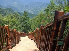 -塔云山