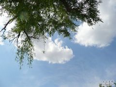 -哈尔滨师范大学(江南校区)