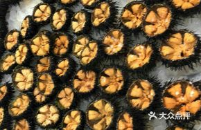 Seafood Dish