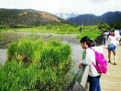 -泸沽湖国家级风景名胜区走婚桥