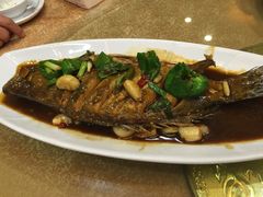 -咱家小院(汉中门店)