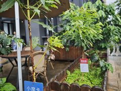 -Torch Coffee 炬点咖啡