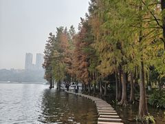 -重庆彩云湖湿地公园