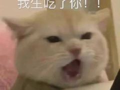 -长藤鬼校(龙翔店)