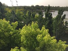 -东郊湿地公园