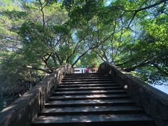 -广州市流溪河国家森林公园