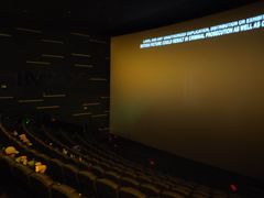 -卢米埃影城(合生广场IMAX店)