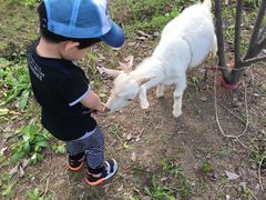 -上海滴水湖皇冠假日酒店