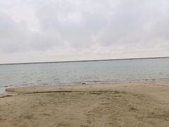 -碧海金沙